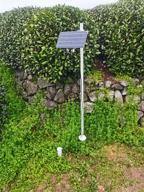 杭州西湖龍江村茶園采購(gòu)風(fēng)途科技土壤墑情監(jiān)測(cè)站